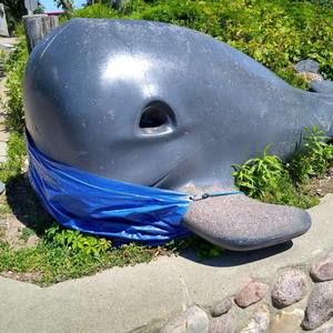 Meet your Posher, Tess